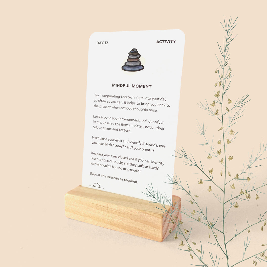 Wooden Display Stand
